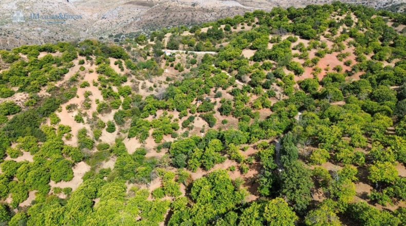 Malaga - Parauta - 33000m2