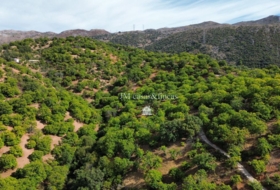 Parauta 28000&nbsp;m² 