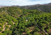 Земля на продажу у города Parauta Фото