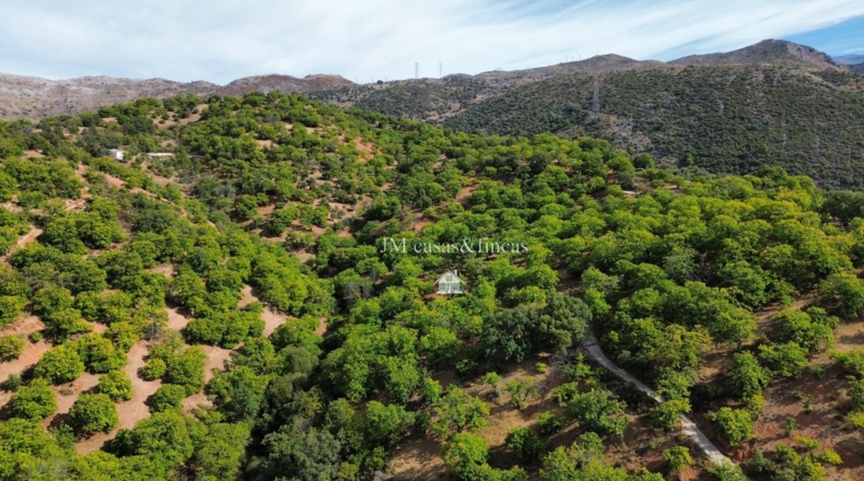 Malaga - Parauta - 33000m2