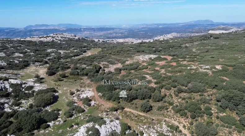 Málaga - Ronda - 524m2