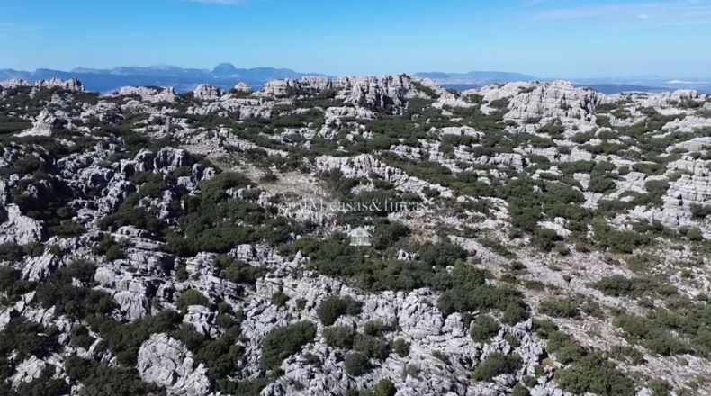 Málaga - Ronda - 524m2