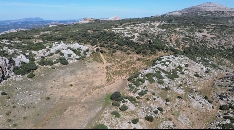 Málaga - Ronda - 524m2