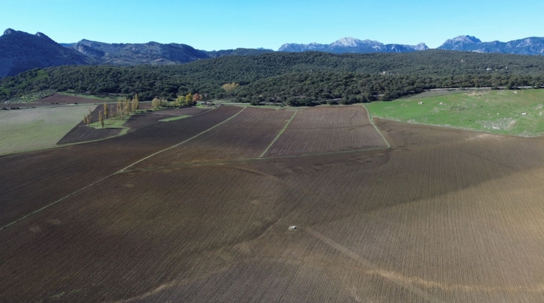 Málaga - Ronda - 2000m2