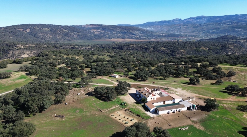 Málaga - Ronda - 2000m2