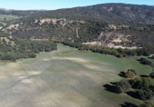 Finca rústica en venda a Ronda ref.: TR235094 foto