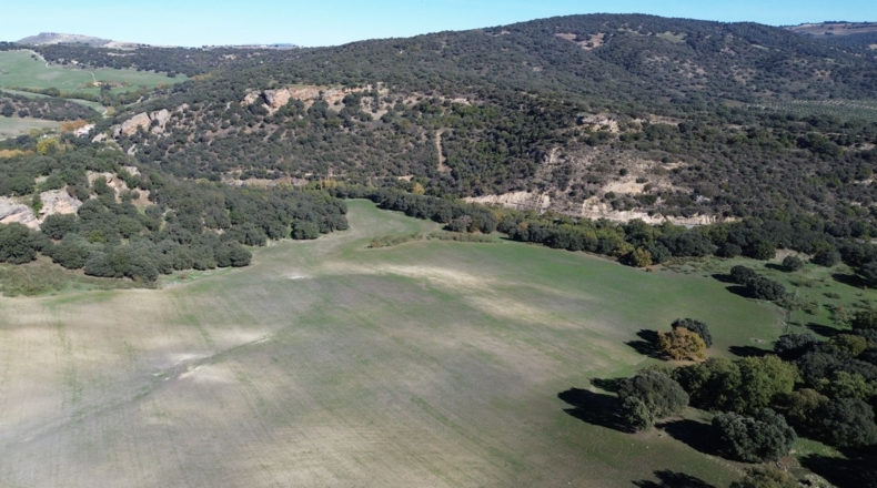 Málaga - Ronda - 2000m2