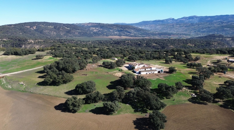 Málaga - Ronda - 2000m2