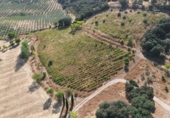 Finca rústica en venda a Setenil de las Bodegas ref.: TR305490 foto