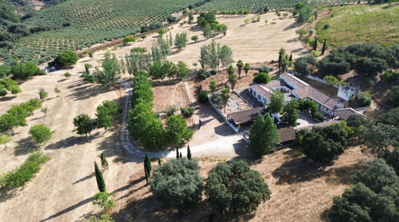Кадис - Setenil de las Bodegas - 700m2