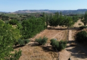 Finca rústica en venda a Setenil de las Bodegas ref.: TR305490 foto