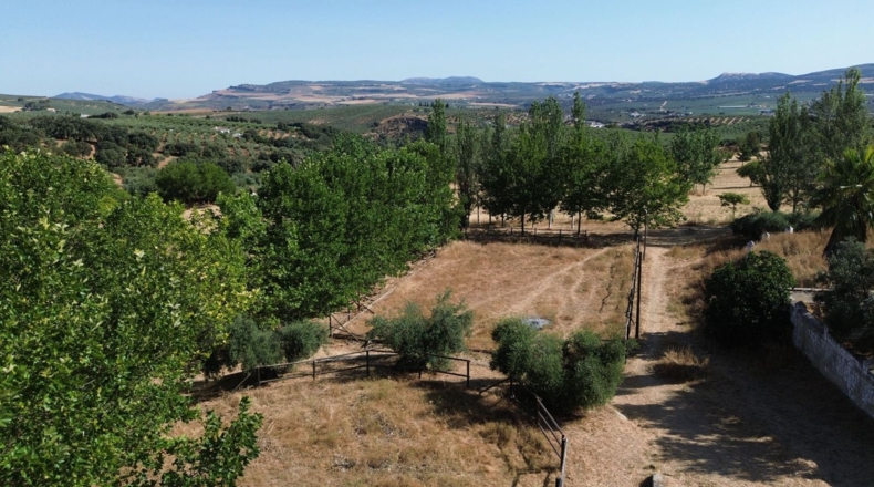 Кадис - Setenil de las Bodegas - 700m2