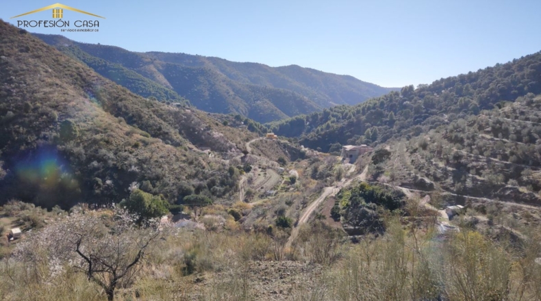 Málaga - Málaga - 5300m2