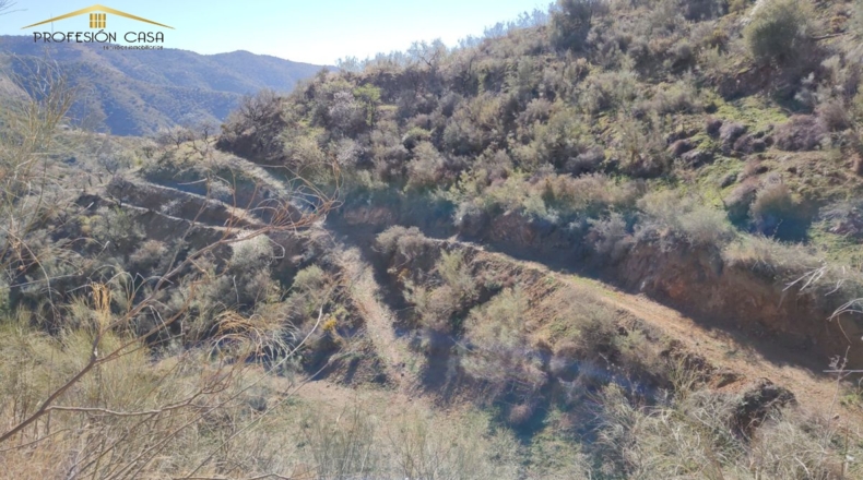 Málaga - Málaga - 5300m2