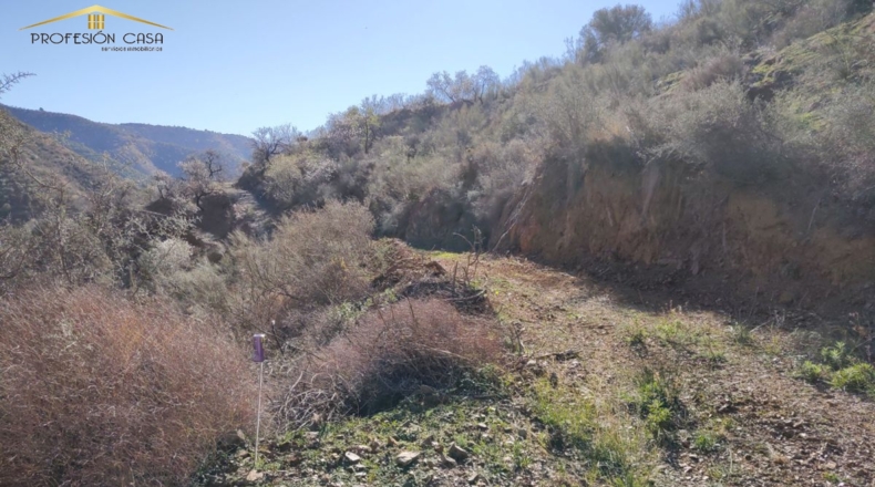 Málaga - Málaga - 5300m2