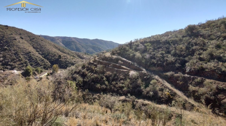 Málaga - Málaga - 5300m2