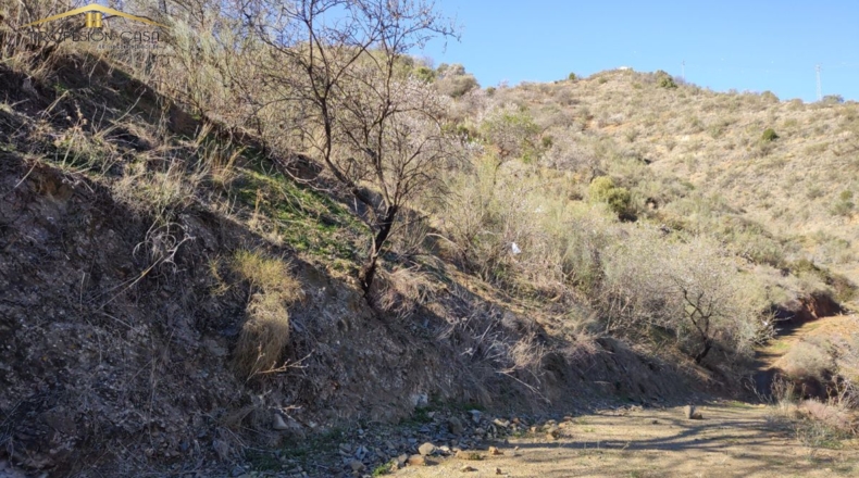Málaga - Málaga - 5300m2