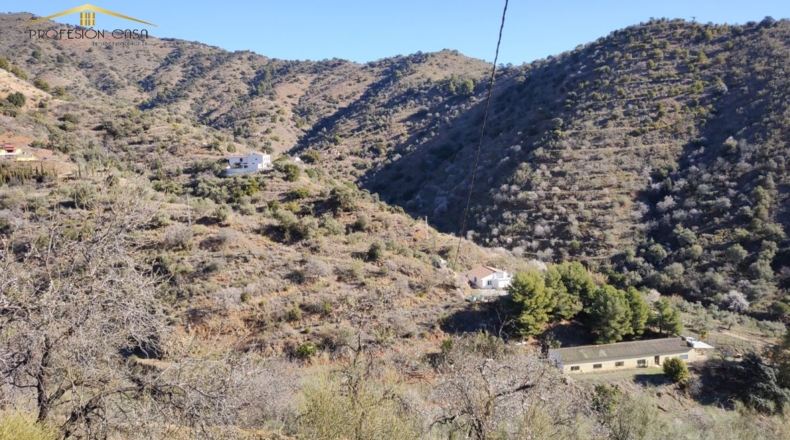 Málaga - Málaga - 5300m2