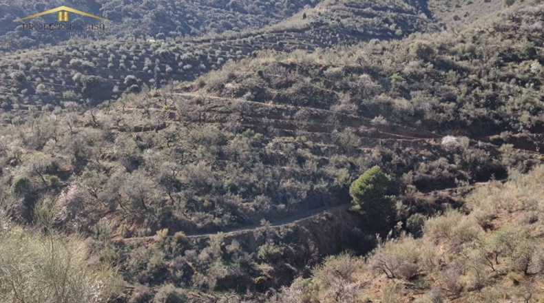 Málaga - Málaga - 5300m2