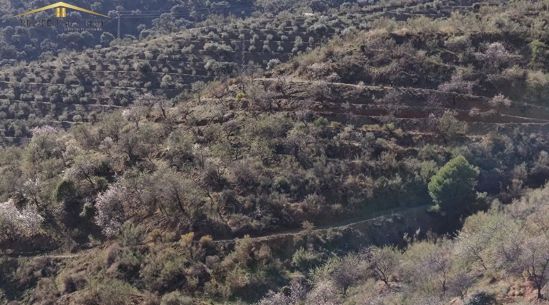 Málaga - Málaga - 5300m2