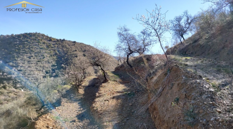 Málaga - Málaga - 5300m2