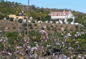 Finca rústica en venda a Vélez-Málaga ref.: TR98890 foto