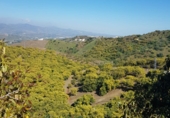 Finca rústica en venda a Vélez-Málaga ref.: TR98890 foto