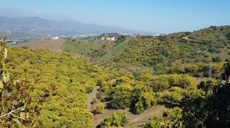 Málaga - Vélez-Málaga - 114000m2