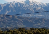 Finca rústica en venda a Vélez-Málaga ref.: TR98890 foto