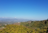 Finca rústica en venda a Vélez-Málaga ref.: TR98890 foto