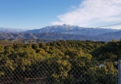Finca rústica en venda a Vélez-Málaga ref.: TR98890 foto