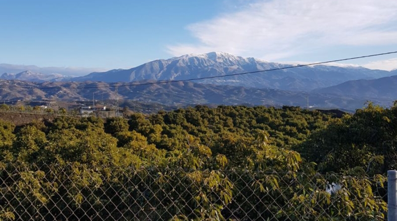 Málaga - Vélez-Málaga - 114000m2