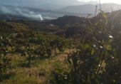 Finca rústica en venda a Vélez-Málaga ref.: TR98890 foto