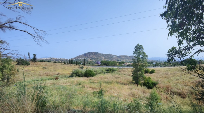 Málaga - Coín - 17000m2