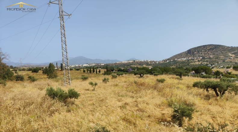 Málaga - Coín - 17000m2