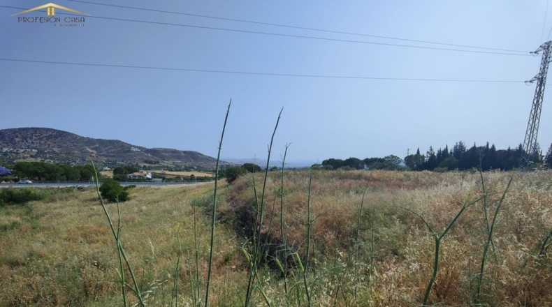 Málaga - Coín - 17000m2
