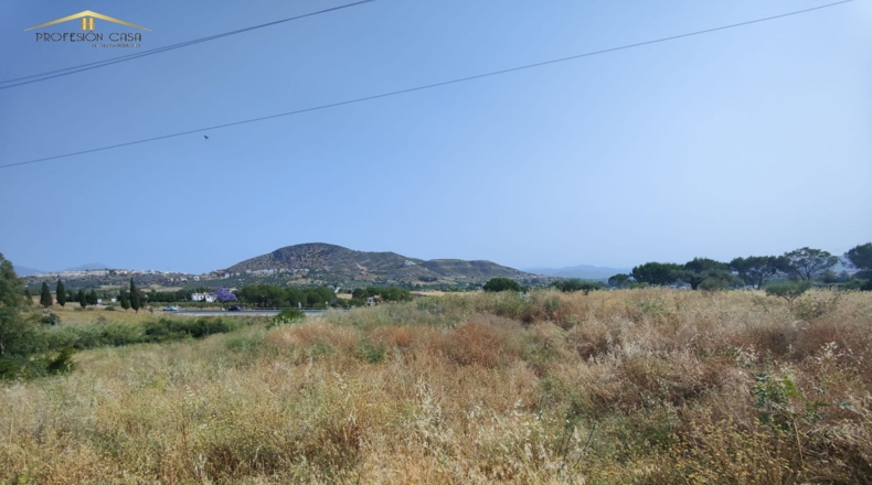 Málaga - Coín - 17000m2