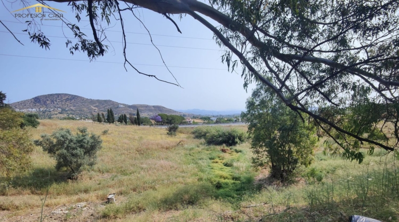Málaga - Coín - 17000m2