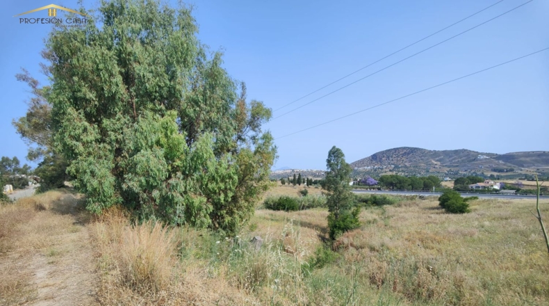 Málaga - Coín - 17000m2