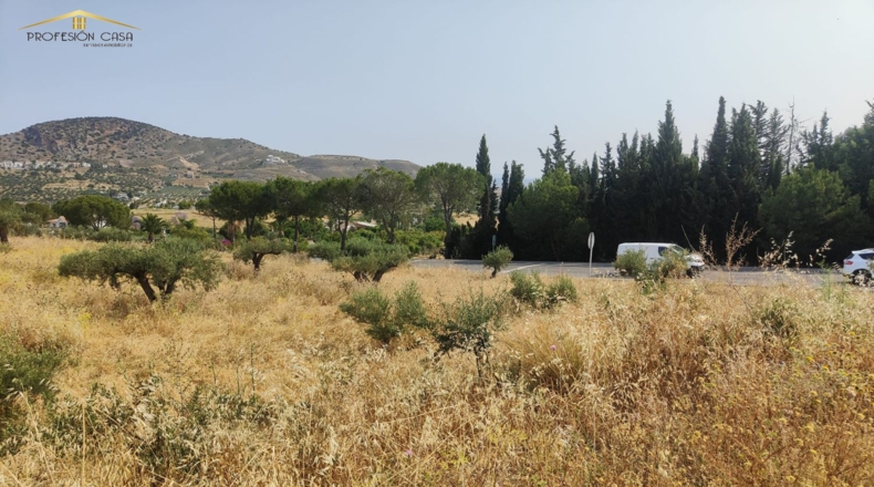Málaga - Coín - 17000m2