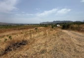 Finca rústica en venta en la España, Cártama, ref: TR287101 foto