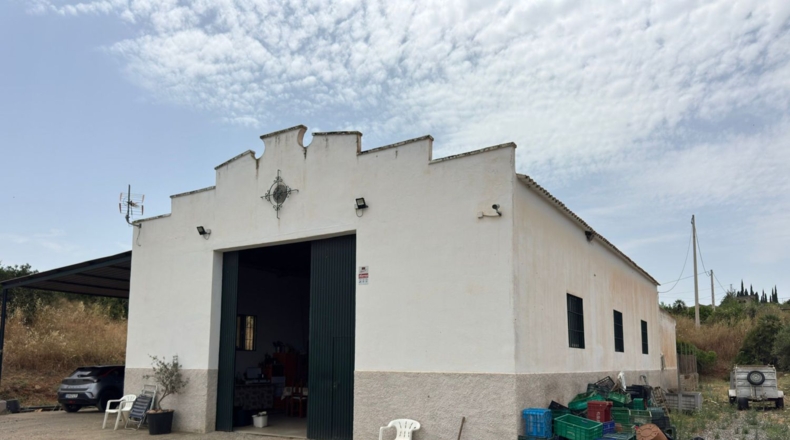 Málaga - Cártama - 81000m2