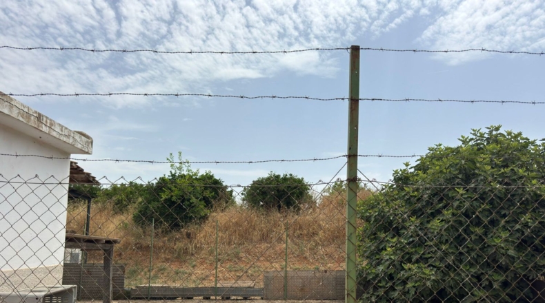 Málaga - Cártama - 81000m2