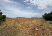 Finca rústica en venta en la España, Cártama, ref: TR287101 foto