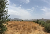 Finca rústica en venta en la España, Cártama, ref: TR287101 foto