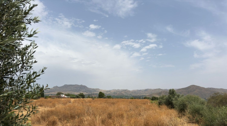 Málaga - Cártama - 81000m2