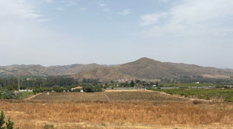 Málaga - Cártama - 81000m2