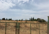Finca rústica en venta en la España, Cártama, ref: TR287101 foto