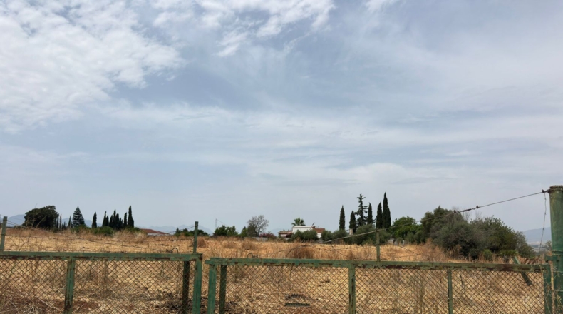 Málaga - Cártama - 81000m2