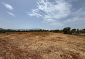 Finca rústica en venta en la España, Cártama, ref: TR287101 foto